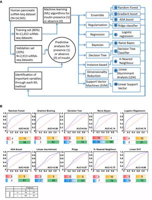 Analysis of Half a Billion Datapoints Across Ten Machine-Learning Algorithms Identifies Key Elements Associated With Insulin Transcription in Human Pancreatic Islet Cells